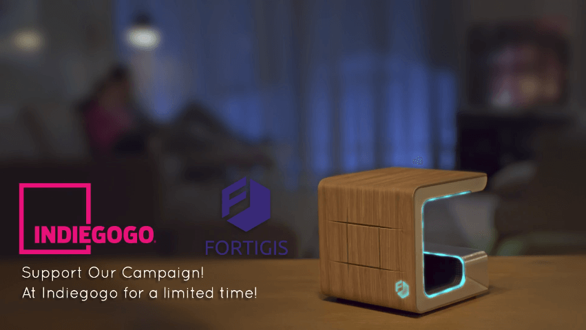Fortigis – Home Network Security Device